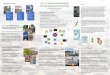 My Learning -Journey Timeline Ed. D. in Educational