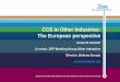 CCS in Other Industries: The European perspective
