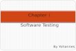 Chapter Software Testing