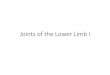 Joints of the Lower Limb I - medicinebau.com