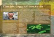 The biology of bacteria - Monash University