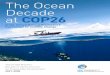 The Ocean Decade at COP26