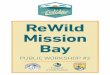 ReWild Mission Bay