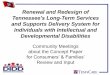 Tennessee’s Long-Term Services and Supports Delivery 