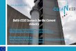 Baltic CCUS Scenario for the Cement Industry