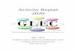 Activity Report 2020 - Kobe University