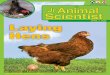 APRIL 3, 2020 Laying Hens - Animal Smart