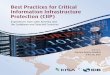 Best Practices for Critical Information Infrastructure 