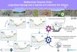 Mediterranean Temporary Ponds : using isotope hydrology 