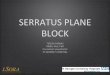 SERRATUS PLANE BLOCK - STAPG