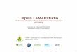 Capsis / AMAPstudio