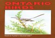 Ontario Birds - sora.unm.edu