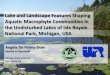 Lake and Landscape Features Shaping Aquatic Macrophyte 