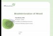 Biodeterioration of Wood