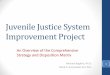 Juvenile Justice System Improvement Project