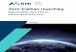 Zero-Carbon Investing - RMI