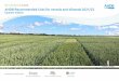 AHDB Recommended Lists for cereals and oilseeds 2021/22
