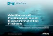 Welfare of Cultured and Experimental Fishes