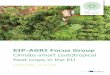 Climate-smart (sub)tropical food crops in the EU