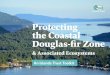 Protecting the Coastal Douglas-fir Zone
