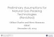 Preliminary Assumptions for Natural Gas ... - nwcouncil.org
