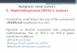 Malignant renal tumors 2. Nephroblastoma (Wilm s tumor)