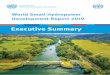World Small Hydropower Development Report 2019