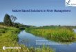 Nature Based Solutions in River Management