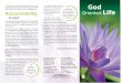 8-God Oriented Life - Internet Archive