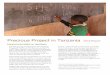Precious Project in Tanzania - uploads-ssl.webflow.com
