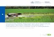 Community water management and agricultural ... - CGIAR