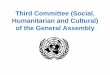 Third Committee (Social, Humanitarian and Cultural) of the 