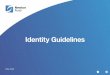 Newton Fund Identity Guidelines