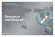 Sectors Report: Petroleum and Minerals - MBIE