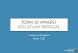 Town of Amherst ADU Bylaw Proposal - Amherst, Massachusetts