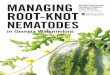 Department of Plant Pathology ROOT-KNOT NEMATODES