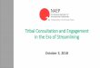 Tribal Consultation and Engagement in the Era of Streamlining
