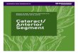 Cataract/ Anterior Segment