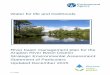 River basin management plan for the Strategic 