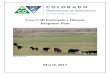 Cow Calf Emergency Disease Response Plan