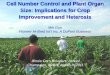 Cell Number Control and Plant Organ Size: Implications for 