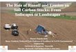 The Role of Runoff and Erosion on Soil Carbon ... - USDA