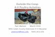 Outside the Coop 4-H Poultry Activities
