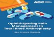 Opioid-Sparing Pain Management in Total Knee Arthroplasty
