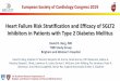 Heart Failure Risk Stratification and Efficacy of SGLT2 