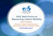 CES Task Force on Measuring Labour Mobility