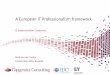 A European IT Professionalism framework