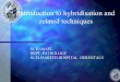 Introduction to hybridisation and
