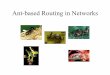 Ant-based Routing in Networks