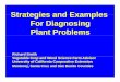 Strategies and ExamplesStrategies and Examples For 
